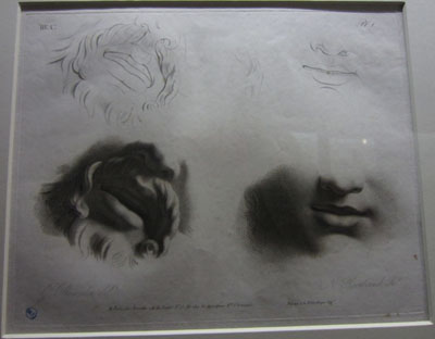Photo from the Fabre museum 2018 album: IMG_6080.jpg